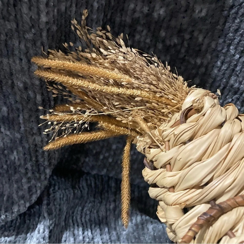 Chicken/Rooster Wire Raffia Set Decor Kitchen Farmhouse